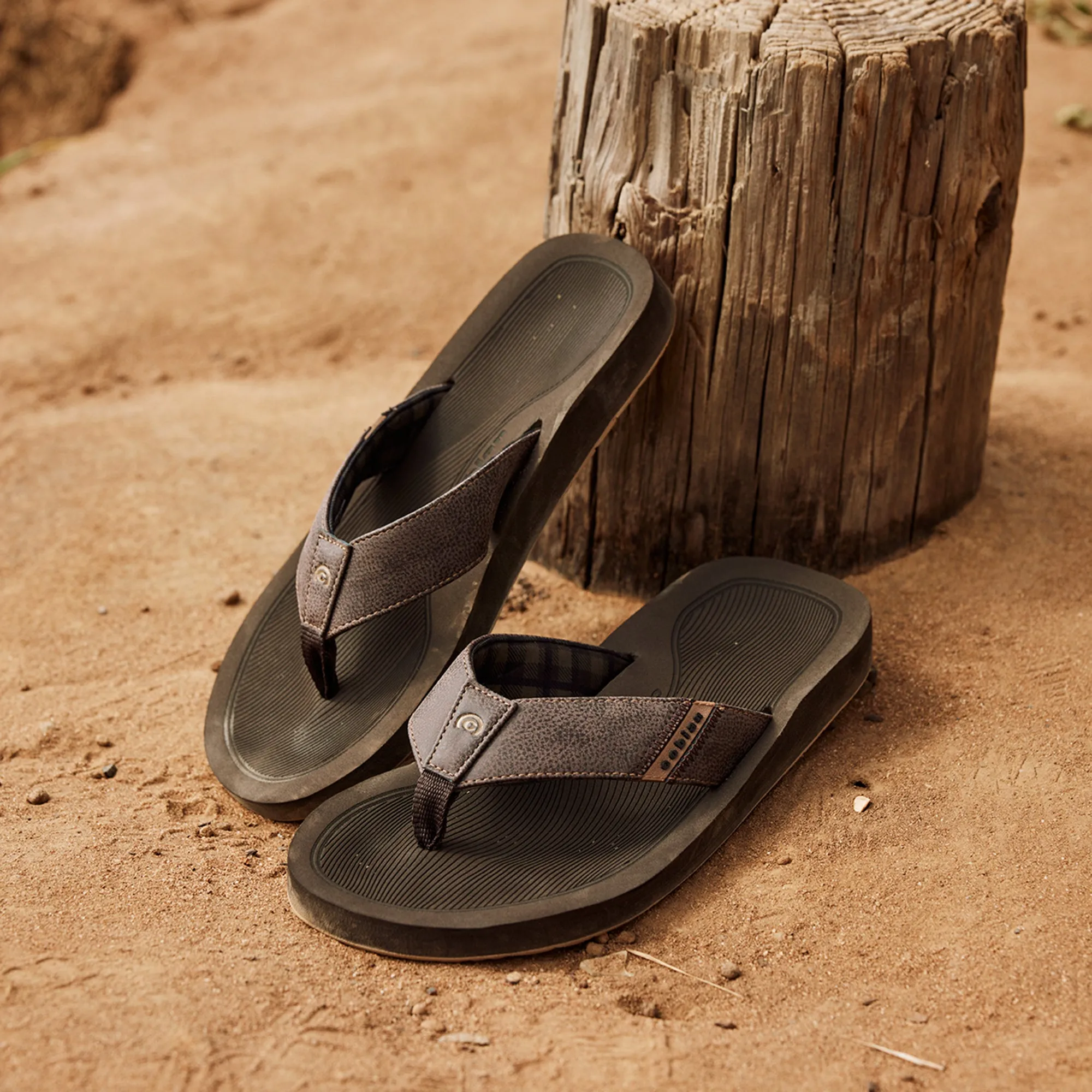 ARV 2™ Trek (Clearance)